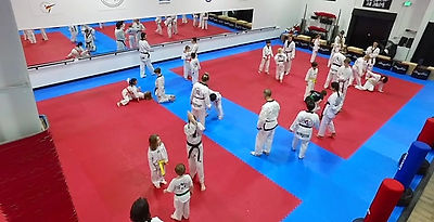 Master Ji Taekwondo-Preview